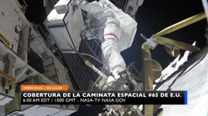 Espacio a Tierra: Los chicos alfa